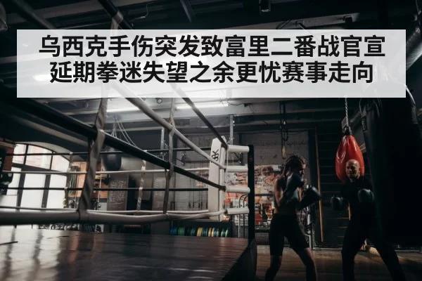 乌西克手伤突发致富里二番战官宣延期拳迷失望之余更忧赛事走向